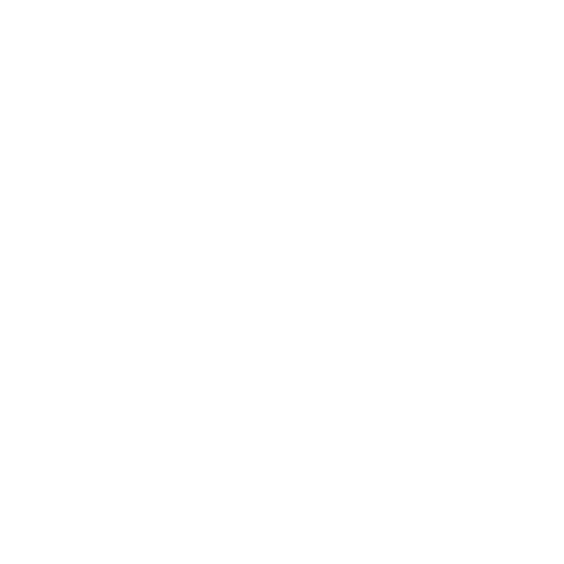 audit